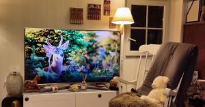 Televízia a/alebo spoločenská miestnosť v ubytovaní PARIS AUTHENTIC HOUSE studio with green courtyard 12 rue labourse Gentilly 94250