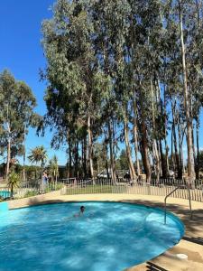 Acogedor Dpto Algarrobo Norte Home Office Wifi Piscinas Hidromasaje内部或周边的泳池