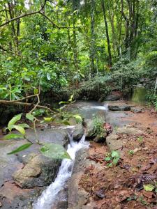 Paisagem natural perto deste parque de campismo