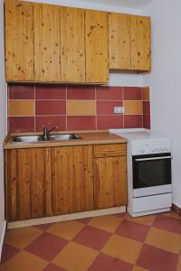 Kuchyňa alebo kuchynka v ubytovaní Balázs vendégház