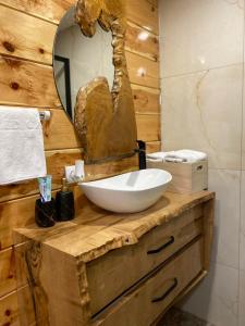 a bathroom with a bowl sink and a mirror at Vikendica Ana in Šipovo +28 photos