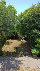 Fotografie z fotogalerie ubytování Apartments Cvita v destinaci Bol