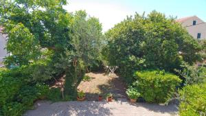 Fotografie z fotogalerie ubytování Apartments Cvita v destinaci Bol