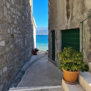 Φυσικό τοπίο κοντά σε αυτό το διαμέρισμα +46 φωτογραφίες