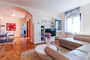 Televízia a/alebo spoločenská miestnosť v ubytovaní Apartments Brane