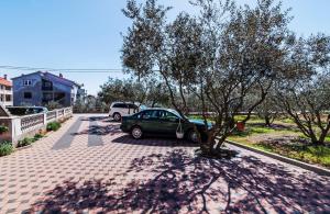 Fotografia z galérie ubytovania Apartments Brane v destinácii Zadar