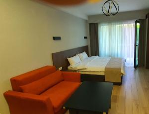 ein Hotelzimmer mit einem Bett und einer Couch in der Unterkunft Crystal Residence Bakuriani in Bakuriani + 11 Fotos