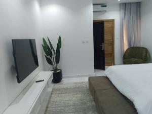 TV a/nebo společenská místnost v ubytování Prince Dikeoha home