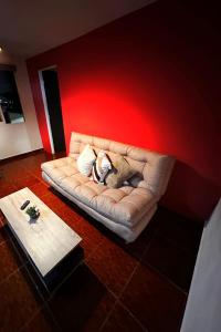 a dog laying on a couch in a living room at Montecarlo in Toluca