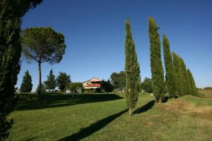 een rij bomen in een veld met een huis op de achtergrond bij Podere il Giurato in Fauglia