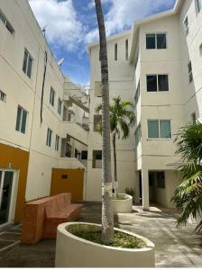 een palmboom in een plantenbak voor een gebouw bij SUIT HOME EXPRESs in Cancun