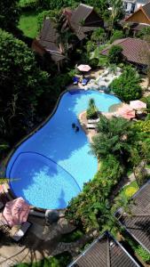 Bazén v ubytování Palm Garden Resort nebo v jeho okolí