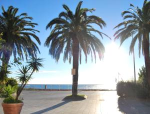 un gruppo di palme sulla spiaggia di B&B 47 a Loano Altre 6 foto