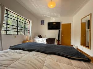 a bedroom with a large bed and a tv at Hostal Roma Condesa in Mexico City