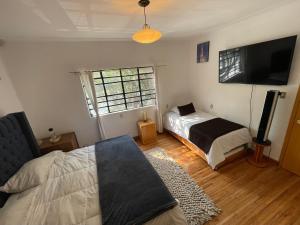 a living room with two beds and a television at Hostal Roma Condesa in Mexico City
