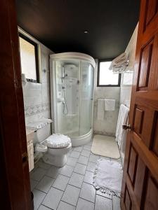 a bathroom with a shower and a toilet at Villa San Francisco in Valle de Bravo