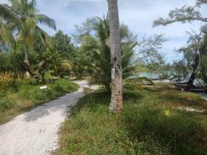 Naturlandskabet i nærheden af vandrehjemmet + 43 billeder