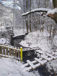 Na Jamajce durante l'inverno