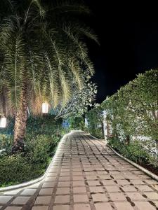 苏梅岛大船泻湖酒店外面的花园