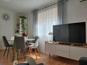 a living room with a large flat screen tv at Apartments Bionda in Zaboric