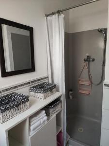 a bathroom with a mirror and a shelf with towels at Apartments Bionda in Zaboric