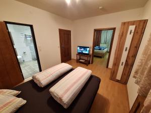 TV a/nebo společenská místnost v ubytování Ferienhaus Bernadette