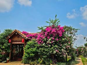 a garden with pink flowers on a building at Anna's Homestay Pleiku in Pleiku