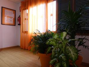 Fotografie z fotogalerie ubytování Hotel Andrea´s v destinaci Los Cristianos