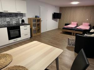Kuchyň nebo kuchyňský kout v ubytování Apartments Carmena