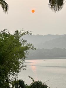 AchraThe Mangrove的橙色的飞鸟飞过水体