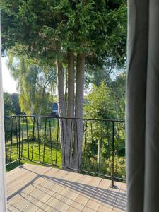 a tree on a porch with a black fence at Landhaus "Marcomagus" in Kall +33 photos