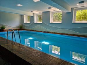 a swimming pool in a house with blue walls and windows at Ferienbutzen Harz Flieder in Bad Lauterberg