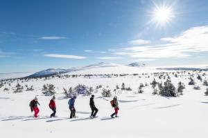 a group of people on skis in the snow at Trysil Hotel in Trysil +23 photos