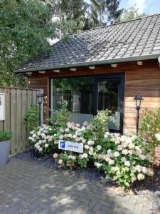 a display of flowers in front of a house at B & B Chawe in Enschede