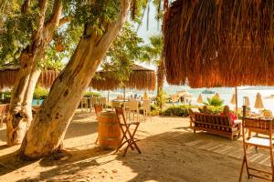 Zahrada ubytování TUI BLUE Grand Azur
