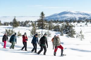 a group of people cross country skiing in the snow at Villa Sole, Trysil in Trysil