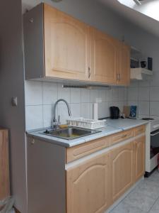 Kuchyň nebo kuchyňský kout v ubytování Julia Apartman Hévíz