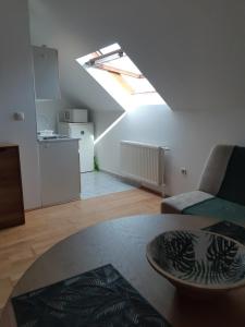 Kuchyň nebo kuchyňský kout v ubytování Julia Apartman Hévíz