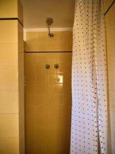 a bathroom with a shower with a shower curtain at Forgo tten Paddock in Maitland +13 photos