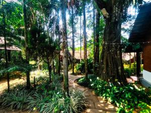 Zahrada ubytování The Twin Cottages Coorg