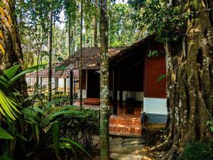 Zahrada ubytování The Twin Cottages Coorg