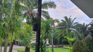 a view of a garden with palm trees and purple flowers at The White House Ao Nang in Ao Nang 