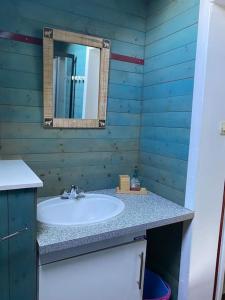un bagno con lavandino e specchio di Maison des Dunes a Le Touquet-Paris-Plage