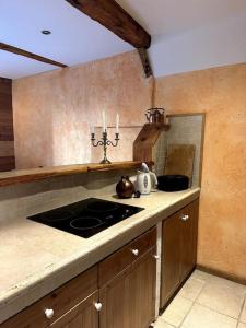 una cucina con lavandino e piano cottura di 2 pièces Suzie a Saint-Étienne-de-Tinée