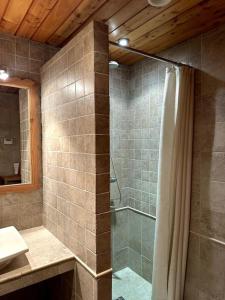 e bagno con doccia e tenda doccia. di 2 pièces Suzie a Saint-Étienne-de-Tinée