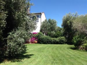 une cour avec une maison et quelques buissons et arbres dans l'établissement Casale Ai Poggi, à Orbetello