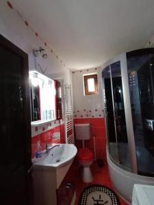a bathroom with a white sink and a toilet at Cabana Acasă la Delia in Gârda de Sus +42 photos