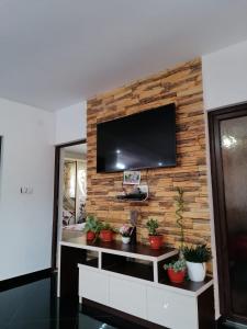 a wall with a flat screen tv on a wooden wall at Cabana Acasă la Delia in Gîrda de Sus