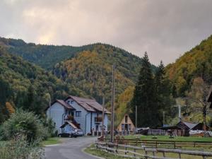 a house on the side of a road with a mountain at Cabana Acasă la Delia in Gârda de Sus