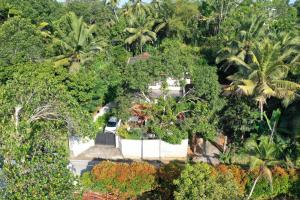 an aerial view of a house surrounded by trees at Nimnada Villa in Galle